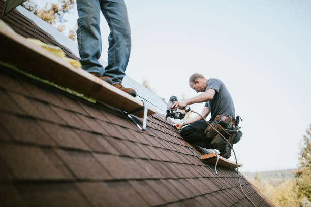Best New Roof Installation  in Willamina, OR